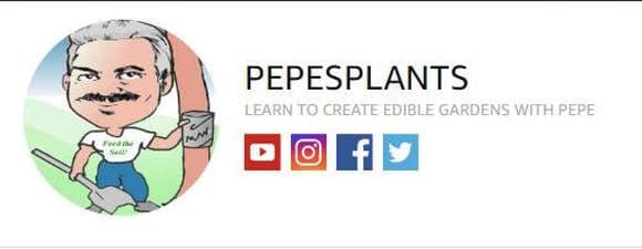 Pepe's Plants On Line