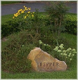 Pepper Greenhouses