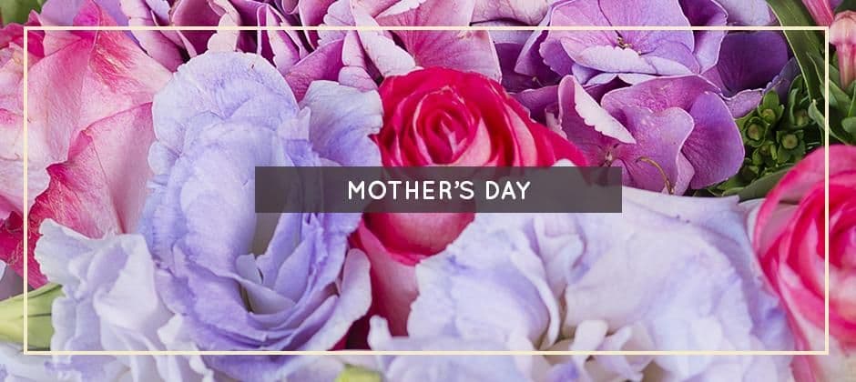 Petal Pushers Flowers & Gifts