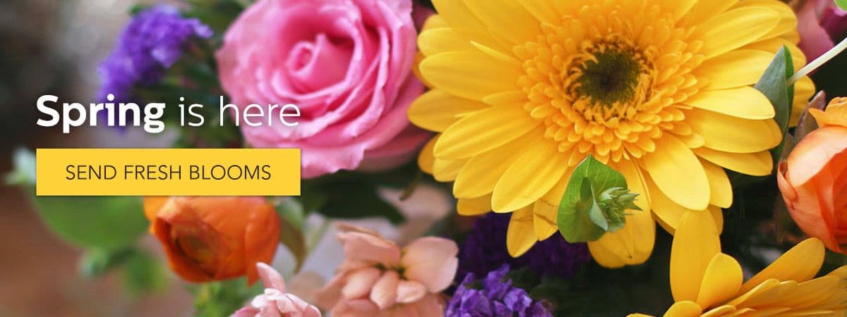 Petals and Stems Florist