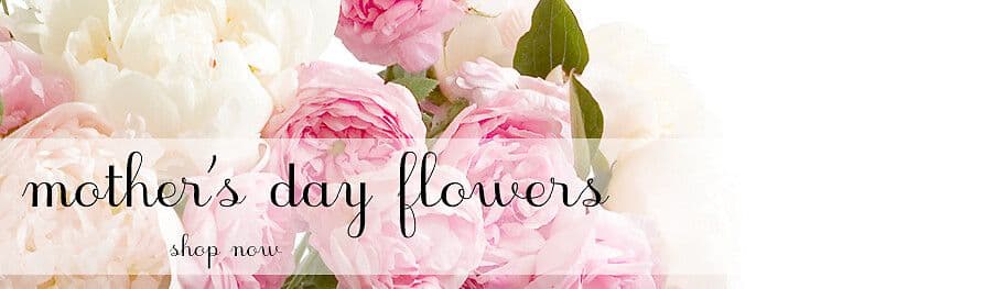 Petals & Bows Florist