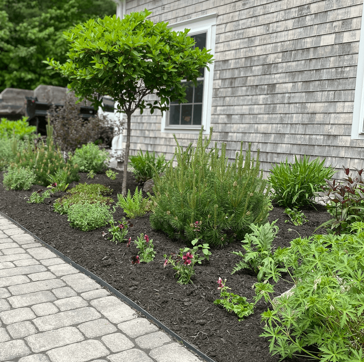 Petals Farm & Garden Design