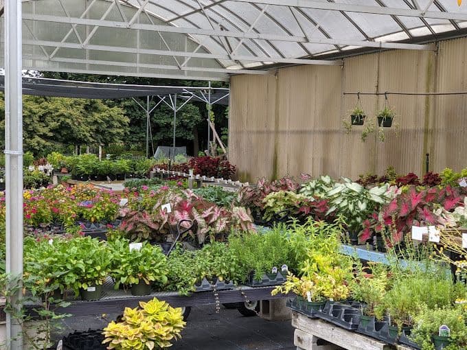 Pharo Garden Centre