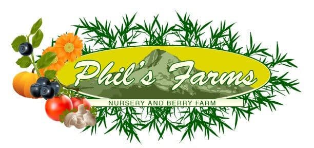 Phil's Farm llc