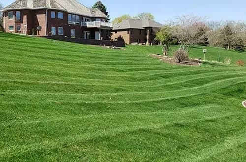 Phil's Lawn Landscaping-Nursery
