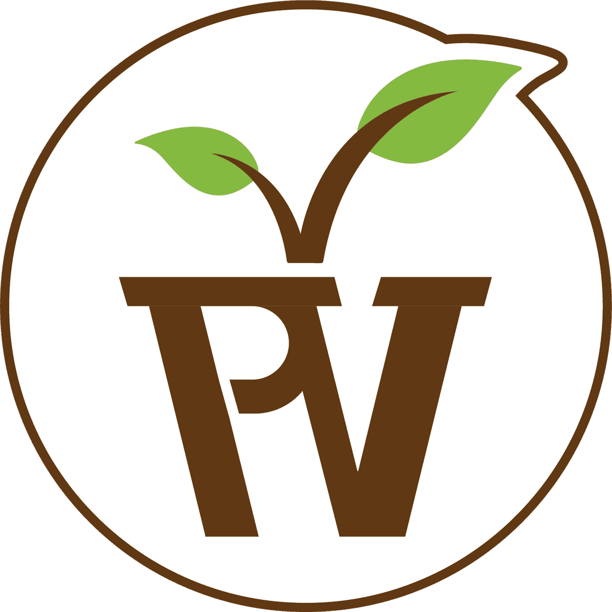 Phoenix Vine Plants & Pots