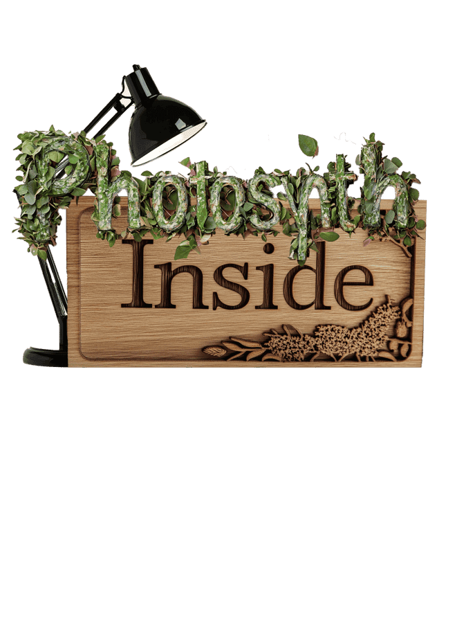 Photosynth Inside