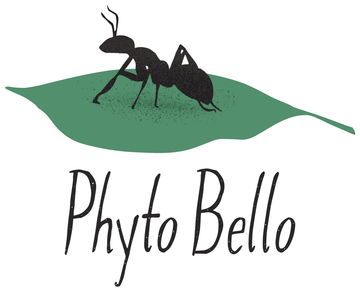 Phyto Bello