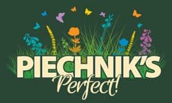 Piechnik's