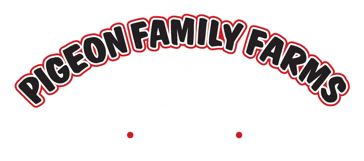 Pigeon Family Farms