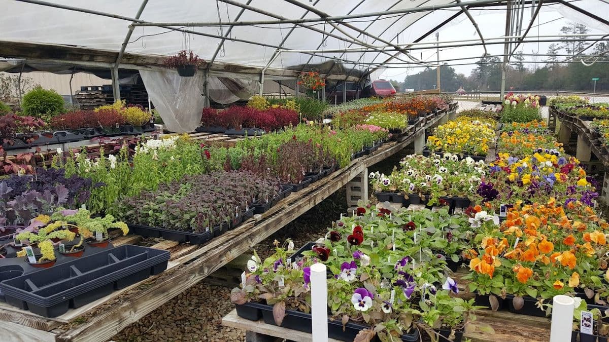 Pine City Lawn and Garden