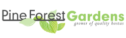 Pine Forest Gardens Hosta Nursery