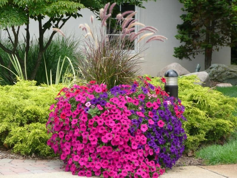 Pine Grove Greenhouse & Farm Market