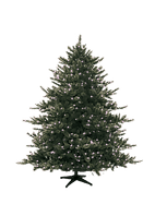Pine Grove Nursery
