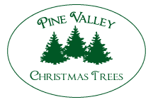 Pine Valley Christmas Trees
