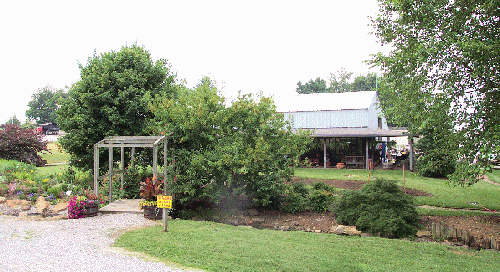 Pine View Nursery