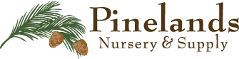 Pinelands Nursery
