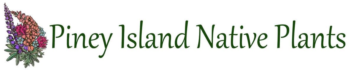 Piney Island Native Plants, LLC