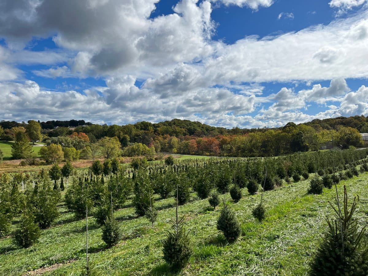 Piney Run Nursery & Farm, Inc