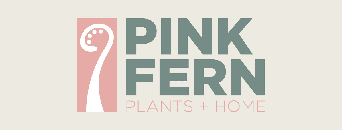 Pink Fern
