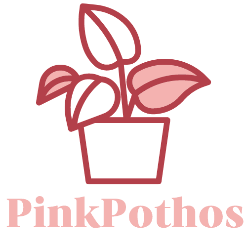 Pink Pothos