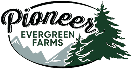 Pioneer Evergreen Farms