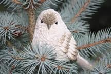 Planet Spruce LLC