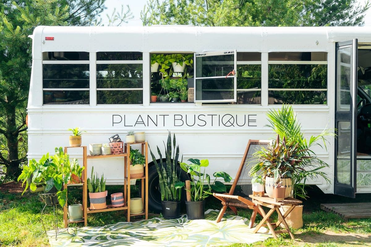 Plant Bustique