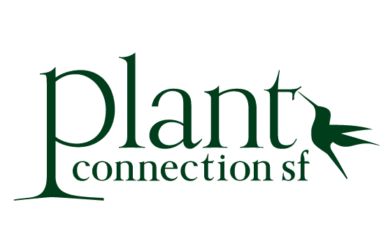 Plant Connection SF