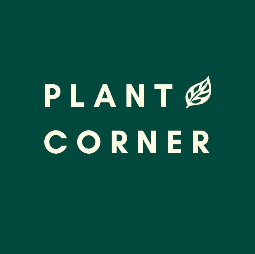 Plant Corner