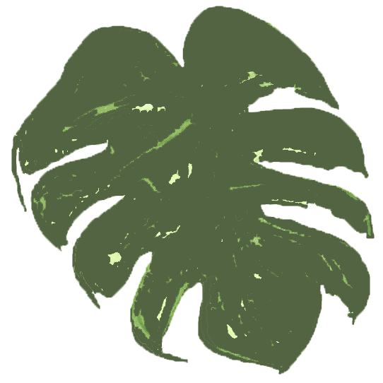 Plant Creations