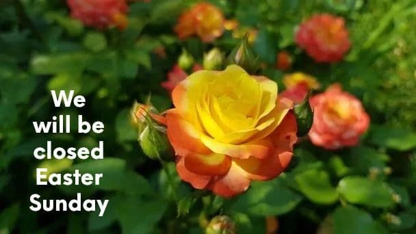Plant Fair Nursery Inc.