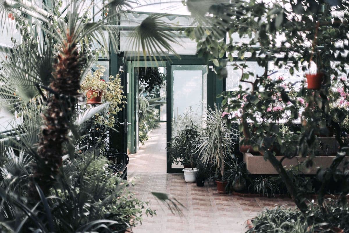 Plant Farm Rental Inc