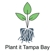 Plant It Tampa Bay - Property Beautification