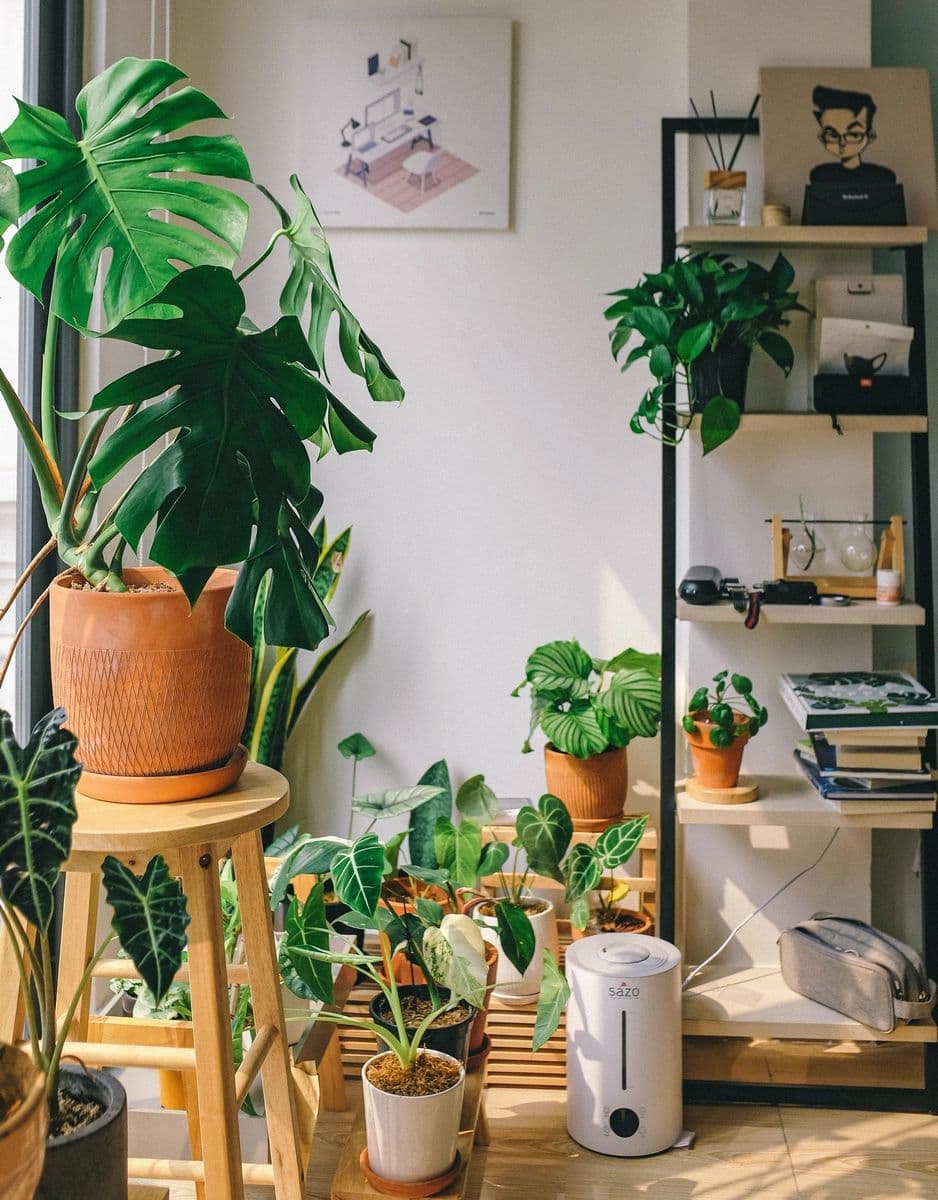 Plant Keepers of Chattanooga