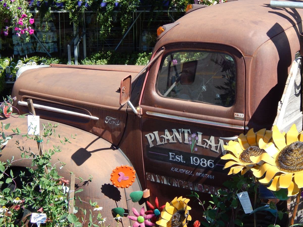 Plant Land