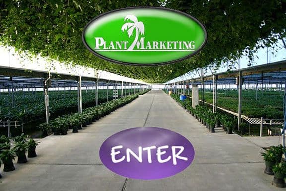 Plant Marketing