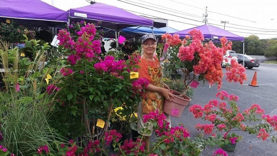 Plant sale