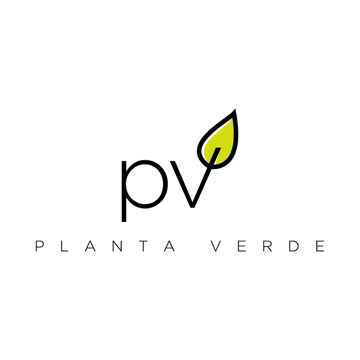 Planta Verde Interior Plant Service