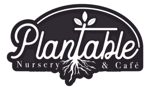 Plantable Nursery & Cafe