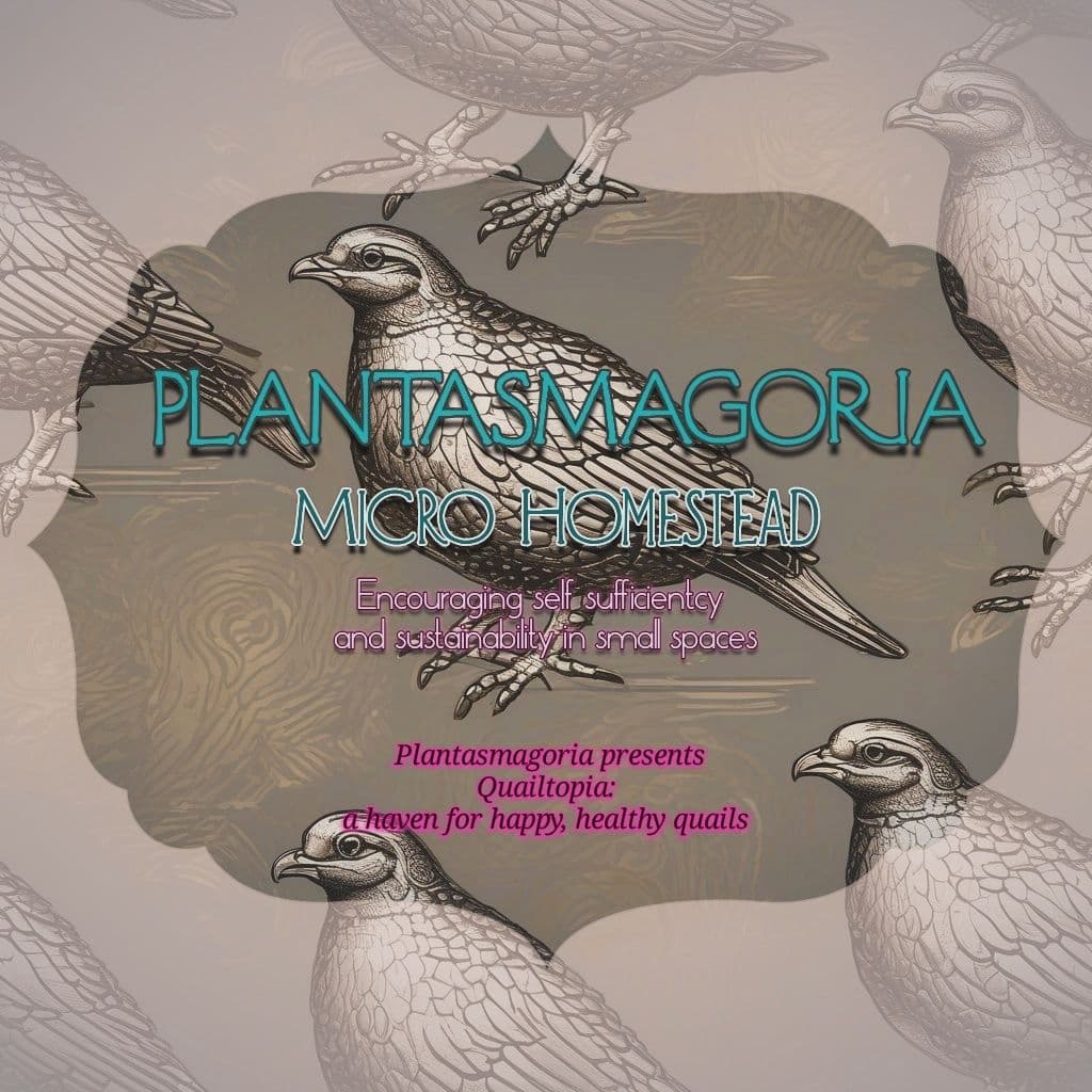 Plantasmagoria Homestead and Micro Farm