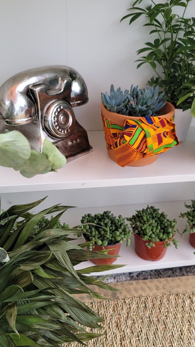 PLANTBLK.COM