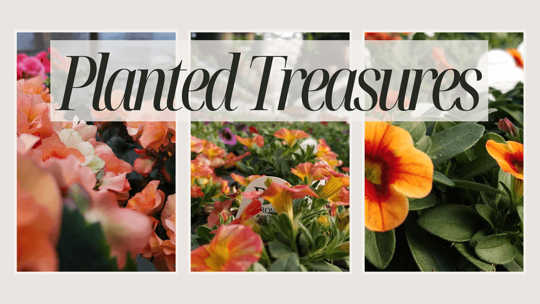 Planted Treasures