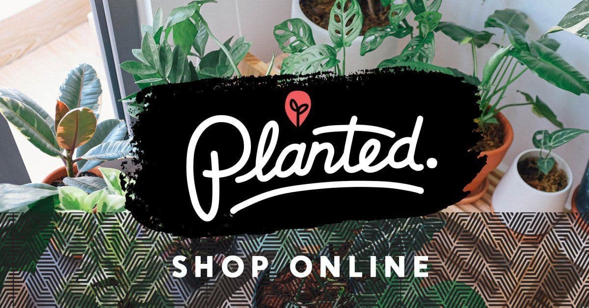 Planted.