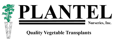 Plantel Nurseries