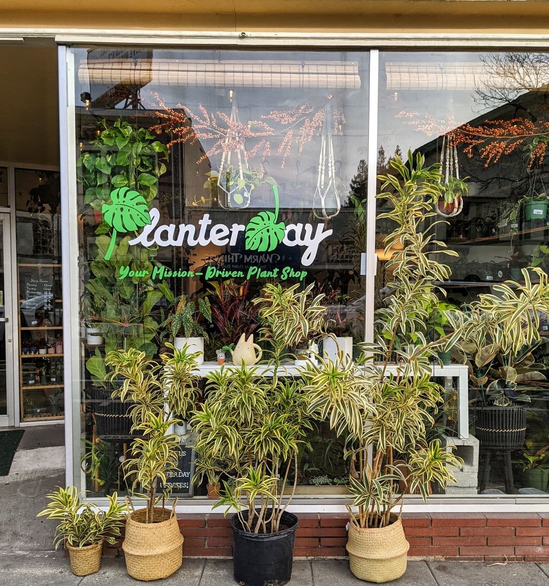 Planterday