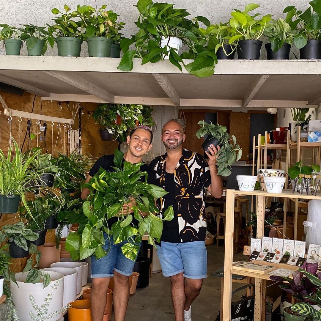 Plantiitas Market