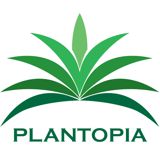 Plantopia - San Diego