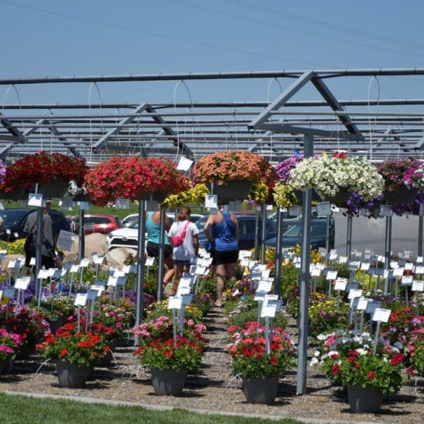Plantpeddler