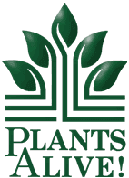 Plants Alive!